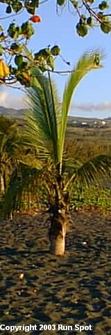 La Réunion en images